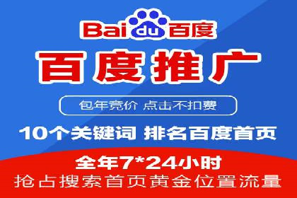 竞价广告在XX行业的成功应用案例